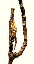 Sculptures